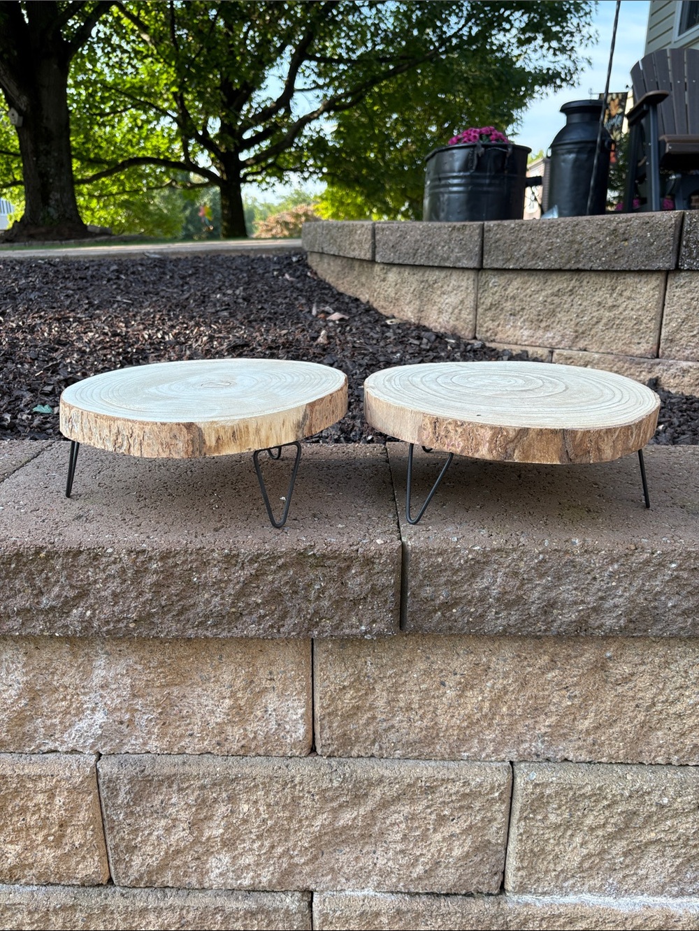 Rustic Natural Wood Slice Pedestal Set of 2 Unbranded - Natural Brown
